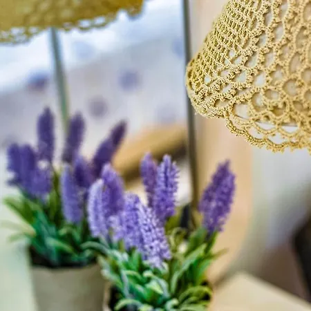 Kamaritis Private Bedroom, Pool View Διαμέρισμα Alepochori